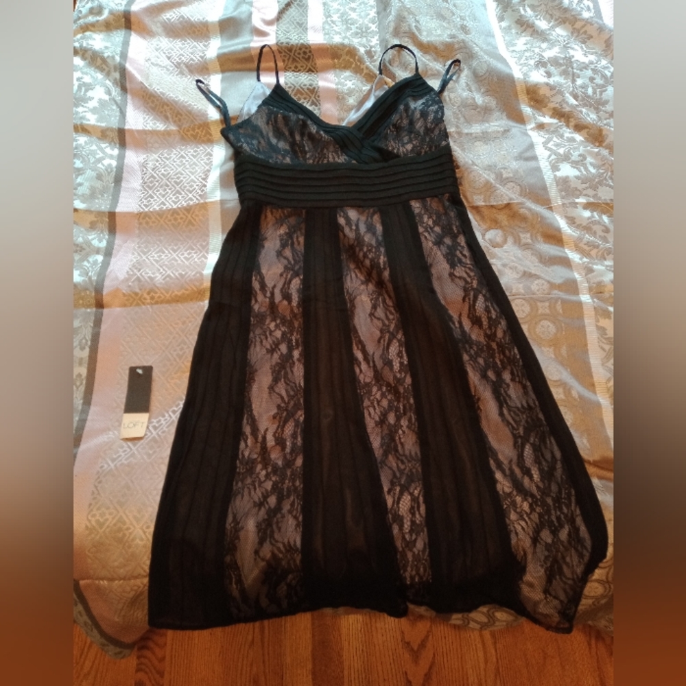 Ann Taylor loft